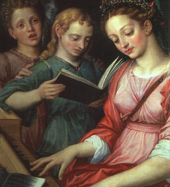 Saint Cecilia dfg, COXCIE, Michiel van